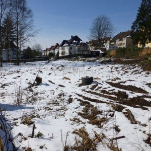 Hier wurden in den letzten Wochen durch Baumfällungen Fakten geschaffen...