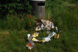 Müllproblem Stadt Fulda